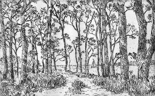 Woodland Path etching.jpg