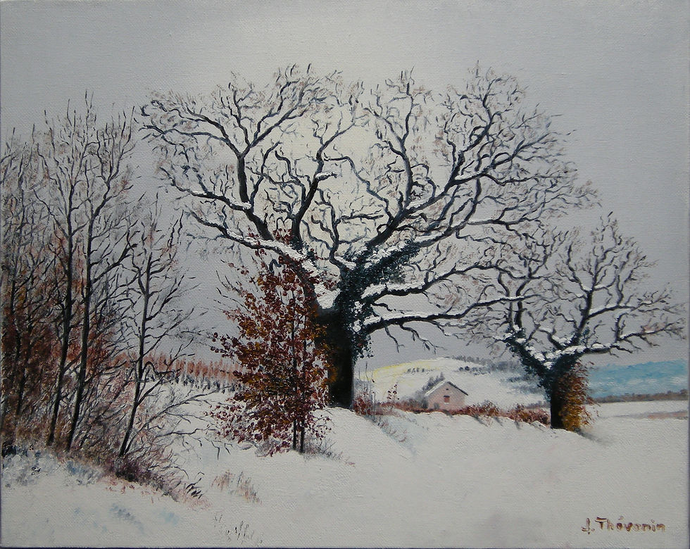 La neige à Lentilly 3