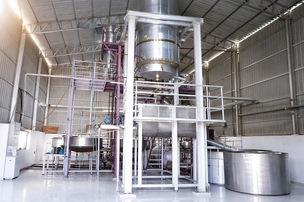 WhatsApp Image 2026-02-06 at 13.45.29.jpeg