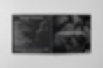 YSW2F_Mockup.jpg