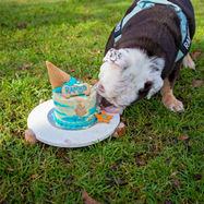 Cake Smash Photography