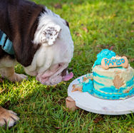 Cake Smash Photography