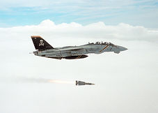 F14 Tomcat Launching a Phoenix Missile