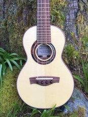 Concert Uke web site photo.jpeg