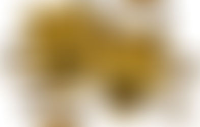 Foolishness & Forgiveness