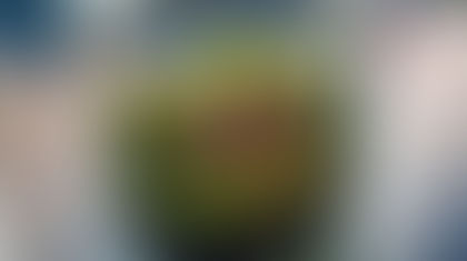 An Intergalactic Journey into the Ecosphere