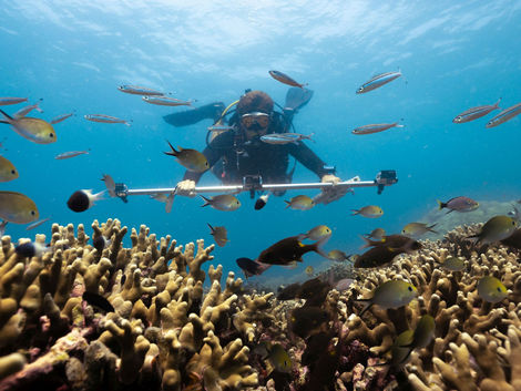 Six Senses Kanuhura setzt neuen Standard im Korallenschutz – weltweit erstes 3D-Riffmonitoring durch ein Resort