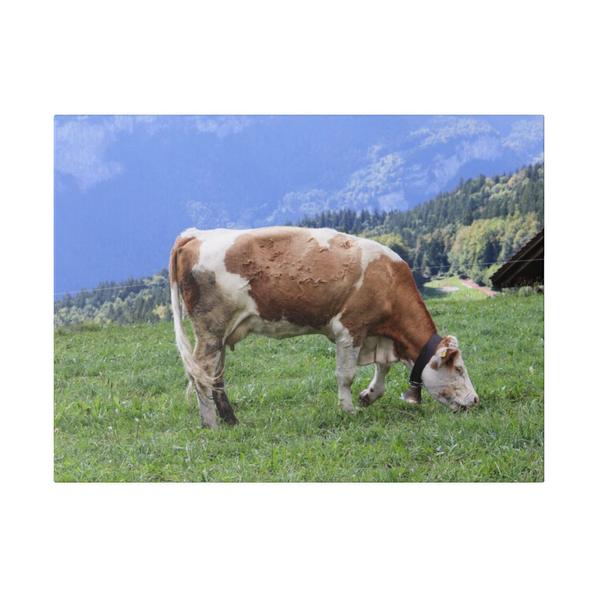 Grazing on Matte Canvas, Stretched