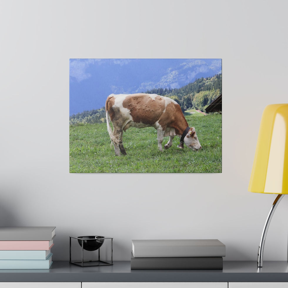 Thumbnail: Grazing on Matte Canvas, Stretched