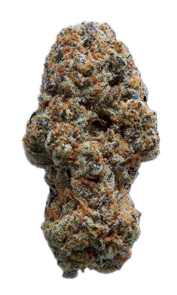 20260723_Gasroots_RoyalGenetics_FruitPlate_0128_Stacked Background Removed.png