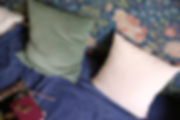 DSCF3862.png