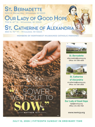 July 12, 2026: Fifteenth Sunday in Ordinary Time