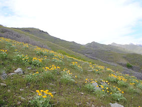 DSC_0835.jpg