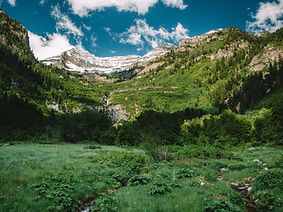 DSCF2702.jpg