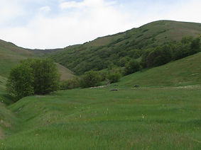 IMG_3398_E_Drainage2-1024x683.jpg