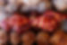 9R6A3184_edited.jpg