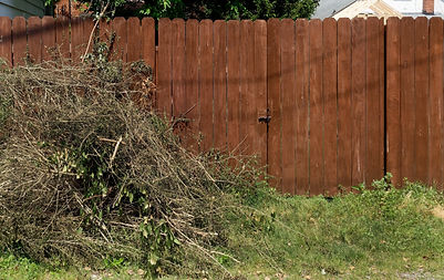 Yard and property cleanup services in Toronto, North York, Scarborough, East York, Etobicoke, Markham. JNB Landscaping.