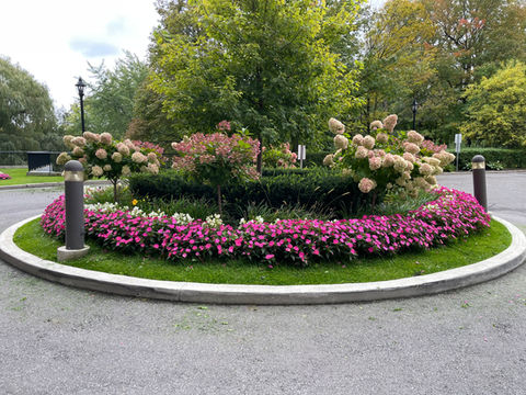 JNB Landscaping - Toronto grass cutting and maintenance services