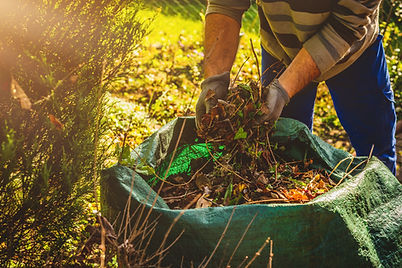 Yard and property cleanup services in Toronto, North York, Scarborough, East York, Etobicoke, Markham. JNB Landscaping, gardening services.