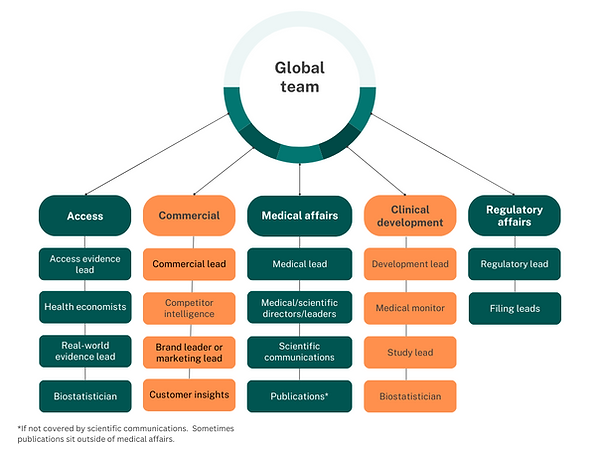 Figure showing all the typical pharma functions and job titles