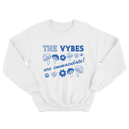 1 vybes.png