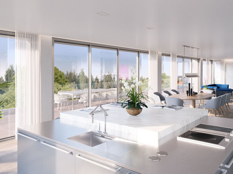 Waimea+-+Vandoeuvres+67+intérieur+attiq