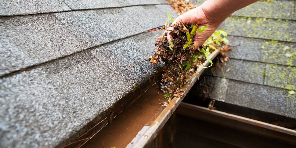 gutter cleaning santa cruz