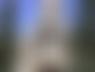 What Happens If You Don't Make an Estate Plan?