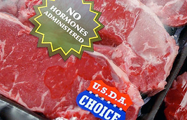 Animals used for food, eating animals, ethics of eating meat, meatless Monday, factory farming