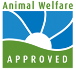 Animals used for food, eating animals, ethics of eating meat, meatless Monday, factory farming