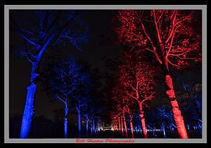 AA Lightscape 28.jpg