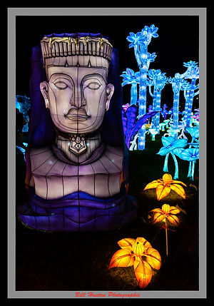 AA Luminocity 17.jpg