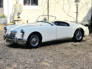 MGA White For Hire 1.jpg