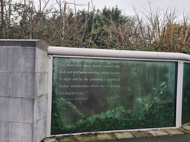 20201130_090007.jpg
