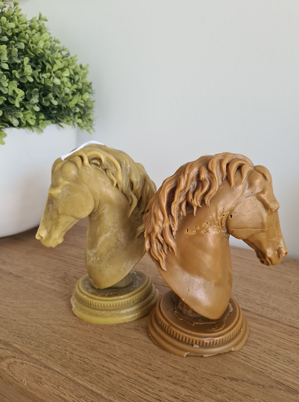 Thumbnail: Horse Bust