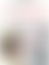 Driving Engagement: Social Media Strategy at Brandt