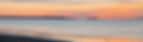 header.jpg