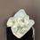 Thumbnail: Moonlight Meadow - Bouquet