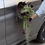 Thumbnail: Avant Garde - Bridal Bouquet
