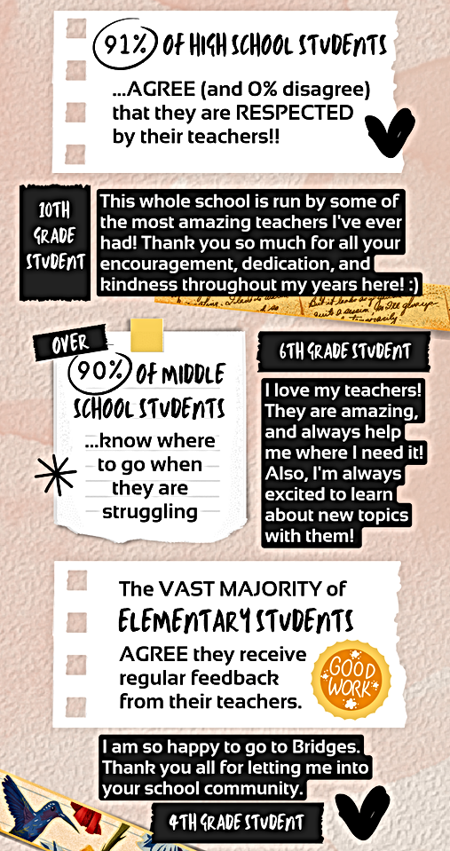 BVA Student Survey Highlights 2024.png
