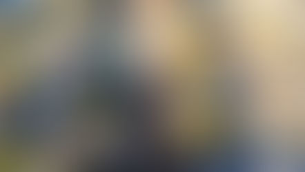 Drone Photos: November Progress