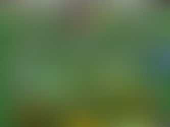 Online Safety during the World Cup