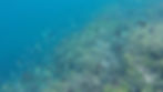 gili Petagan