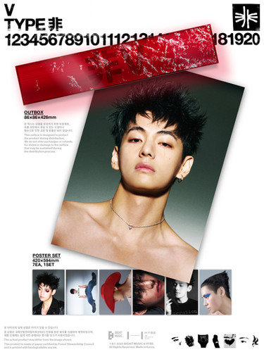 BTS TYPE非ポスター　非売品Vファイルアリラントレカ4枚その他沢山セット V 'TYPE 非' POSTER SET | Kpopmerchindia