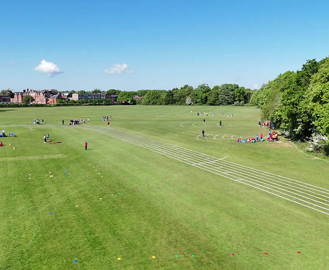 Untitled design (8).jpg