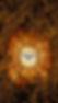 Holy Spirit dove window, faith-based Italy tours.
