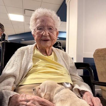 Smiling elderly woman holds a puppy on her lap