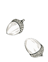 Two white teardrop earrings on black background, fashion jewelry.