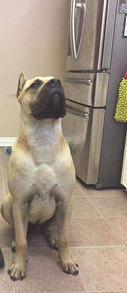 FB_IMG_1484116068484_edited