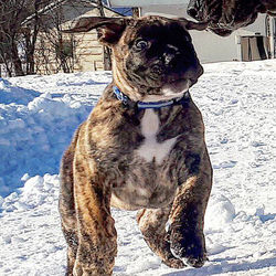 28661121_10156164201359120_7135939324161